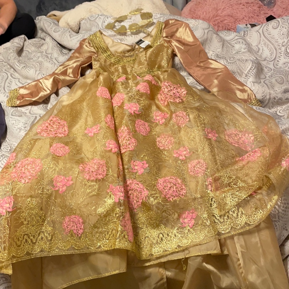 Gently Worn Aurora costume